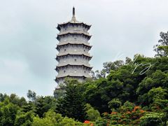 -深圳国际园林花卉博览园