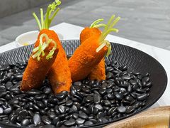 -丁老爷子苏香圆