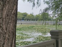 -鸣鹤古镇