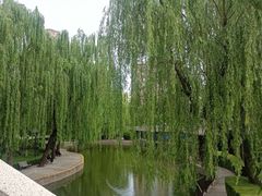-团结湖公园