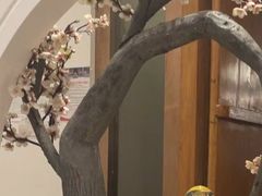 -不凡脑禅境·养生·舒压调理SPA(华发世纪城店)