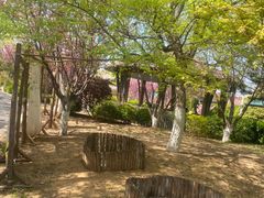 -大连金石滩绿发温泉假日酒店