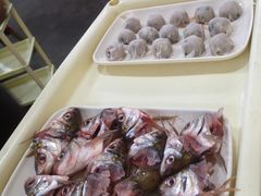 -秦记南岗鱼锅(珠吉路店)