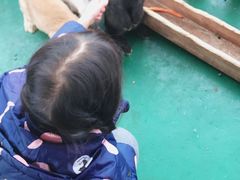 -黄龙溪欢乐田园
