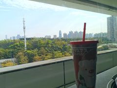 -百年果林椰子鸡(中洲店)