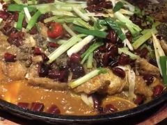 -老板恋上鱼(恒隆广场店)