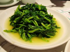 清炒时蔬（豌豆尖）-荣乐园