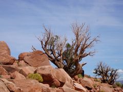 -科罗拉多大峡谷