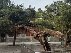 -大钟寺古钟博物馆