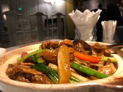 子姜焖鸭-T館·花园艺术餐厅