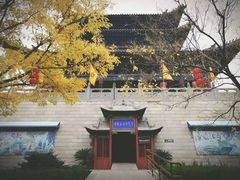 -大槐树寻根祭祖园