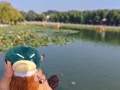 -同和居(什刹海店)