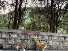 -四门塔风景区