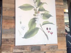 -星巴克臻选(武汉经开永旺梦乐城店)