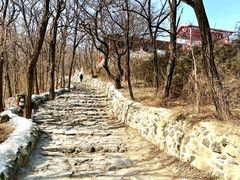 -阳台山自然风景区