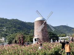 -玫瑰海岸文化旅游度假区