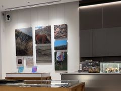 -SAANCI山池咖啡(海上世界文化艺术中心店)