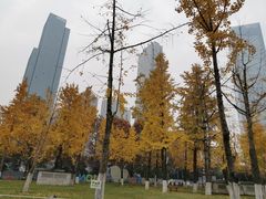 -重庆市江北嘴中央商务区中央公园