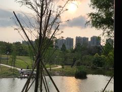 -中山市树木园