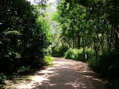 -西湖风景区-江洋畈生态公园