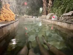 -韶关经律论国际酒店温泉