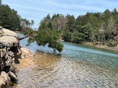 -四明山国家森林公园