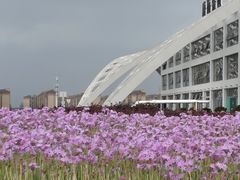 -昆明滇池国际会展中心