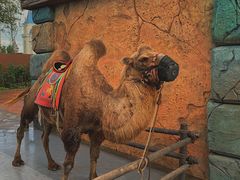 -波塞冬旅游度假区