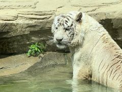-杭州野生动物世界