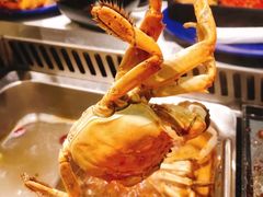 -星伦多自助料理(华润万象城店)