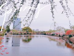 -无锡蠡湖国家湿地公园-蠡园