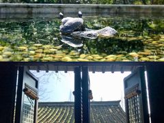-法云安缦酒店