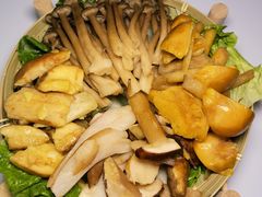 -菌极鲜野生菌火锅店(阳明祠店)
