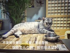 -小时光咖啡馆(开森度假森林店)