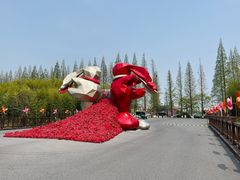 -黄海国家森林公园