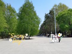 -黑龙江省森林植物园