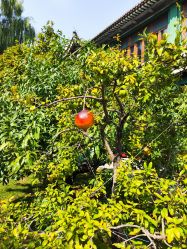 -今日陶艺(富力广场店)