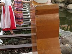 -南昌之星游乐场