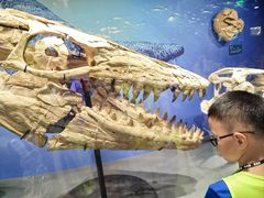 -国家自然博物馆