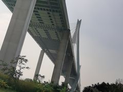 -芒洲湿地公园