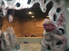 -兴芮温泉度假区