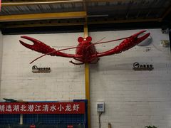 -不炭白烧烤(成都首店)