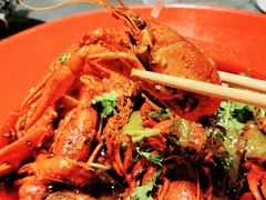 -红辣椒·川菜·火锅(张杨路店)