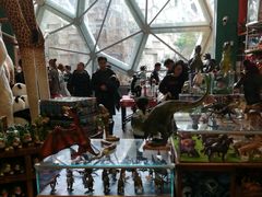 -Behring World of Animals(上海自然博物馆店)