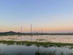 -崖口红树林海鲜餐厅