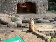 -上海野生动物园