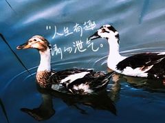 -永定河休闲森林公园