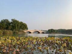 景点-南海子公园