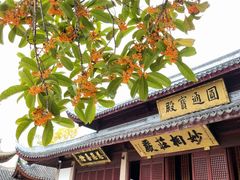 -上海东林寺(金山区)