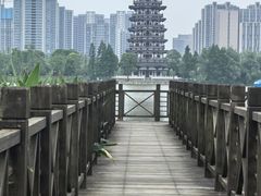 -洋湖国家湿地公园